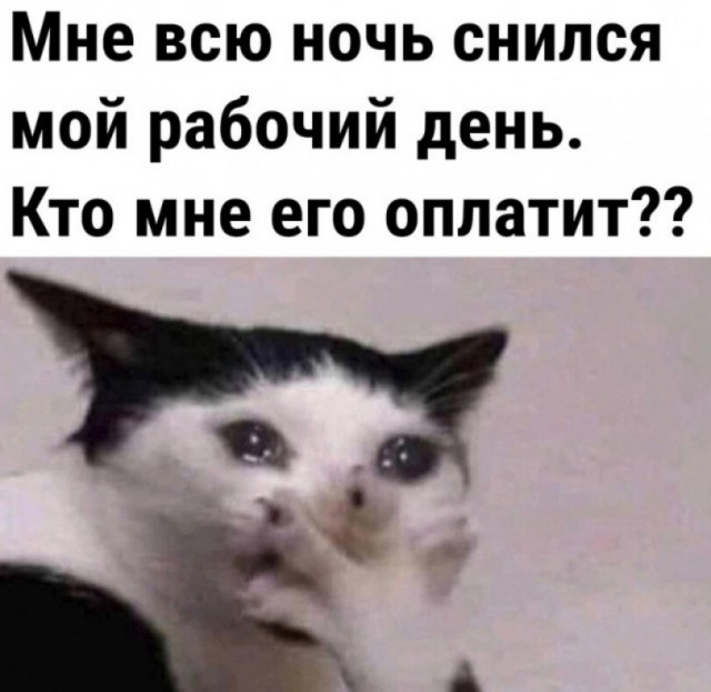 Когда вдруг на выходных приснилась работа