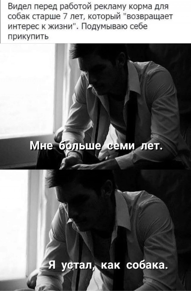 Приколы с налетом деградации