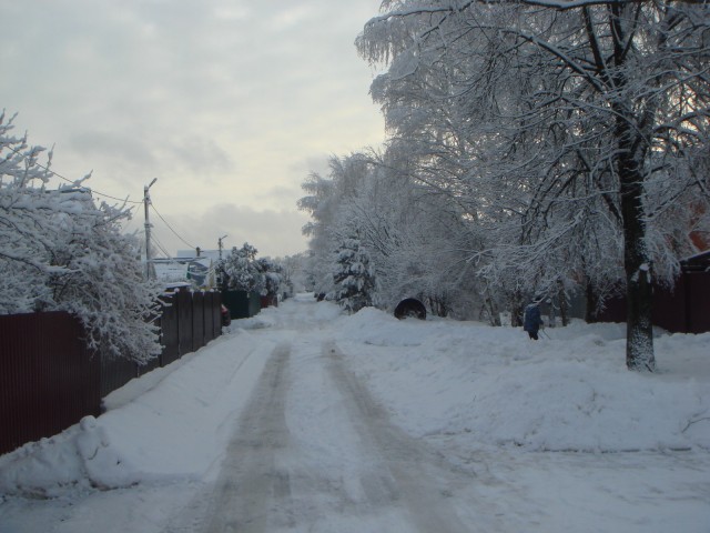 Зимняя красота