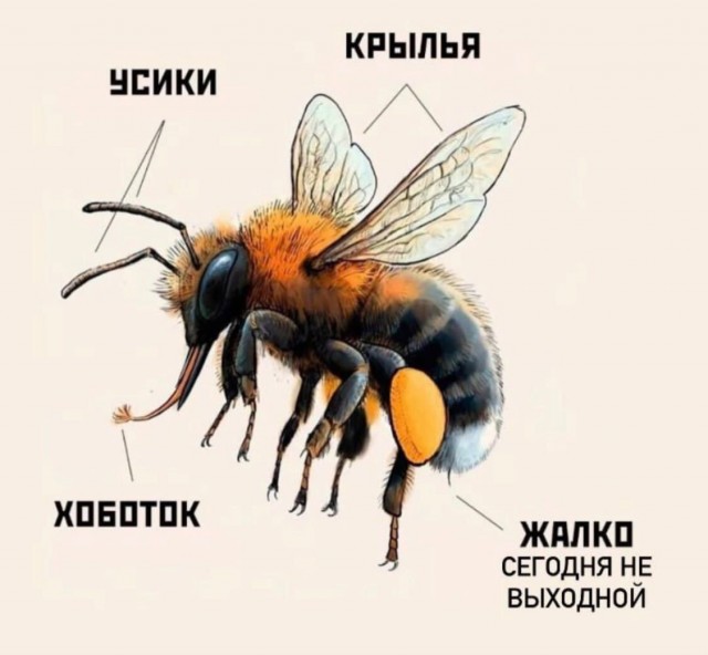 Завалялось тут случайно немного забавных картинок