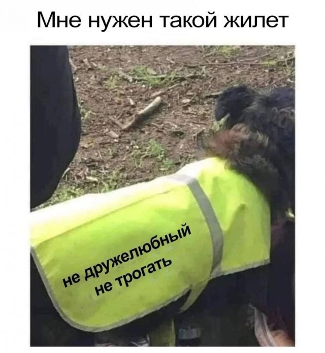 Так себе картинки 11.01.25