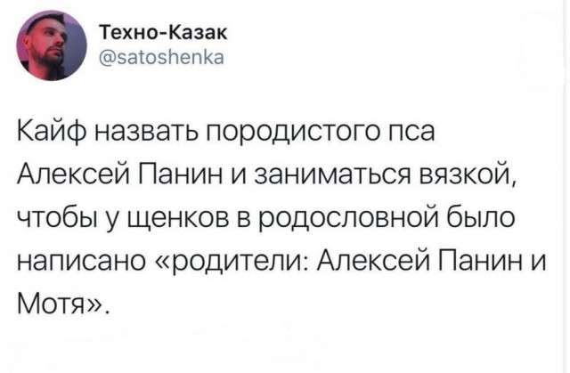 Так себе картинки 18.03.25