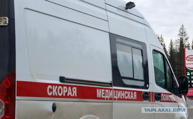 Новости Ставрополя