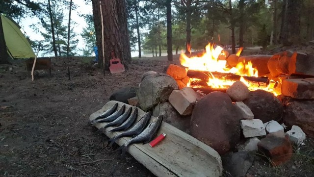 Разбавим политоту и жесть природой