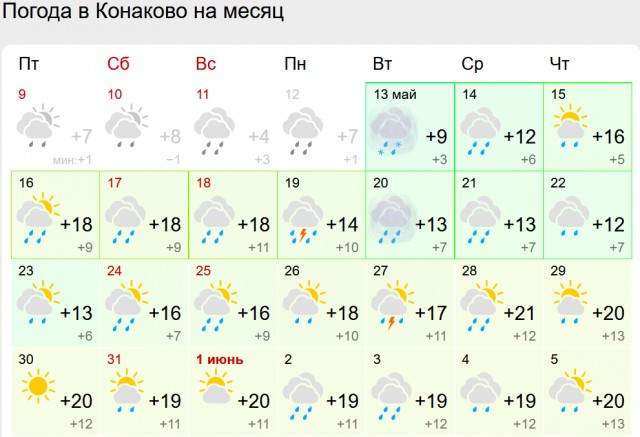 Роза-брюква