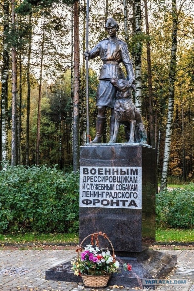 Дроны Великой Отечественной