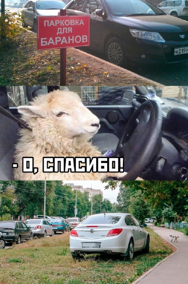Так себе картинки 15.05.25
