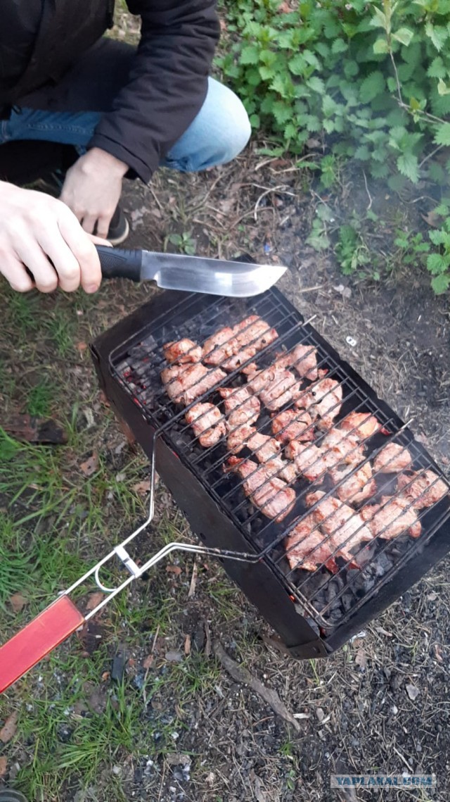 Вечерний шашлык