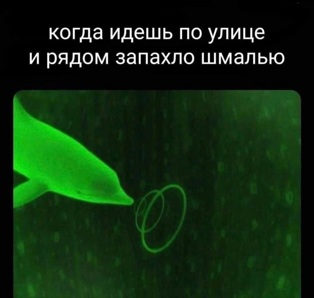 Маленькая пятница 21.05.25
