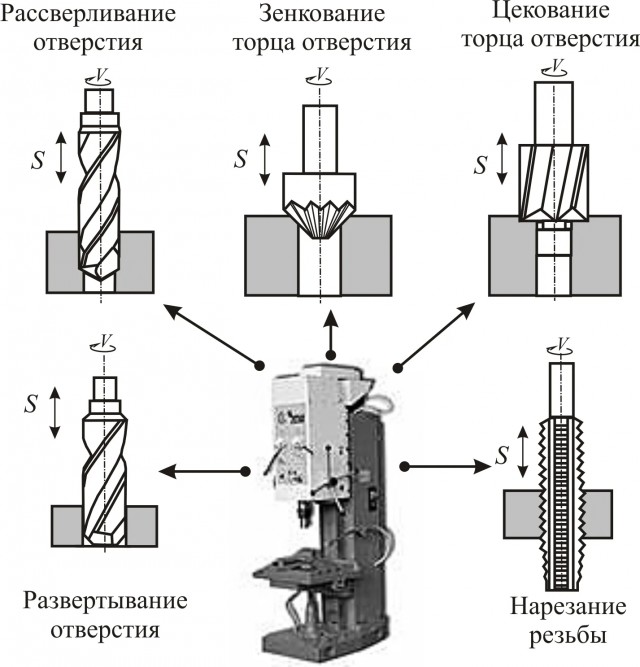 Казусы