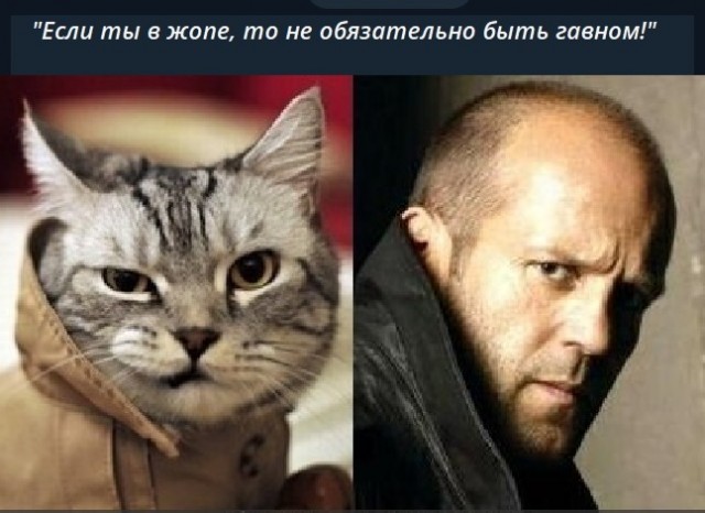 Стэтхэм молчать не будет