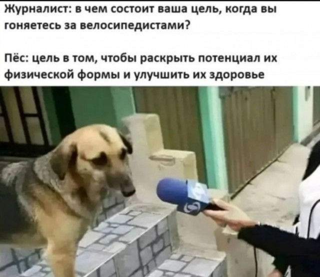 Так себе картинки 09.07.25
