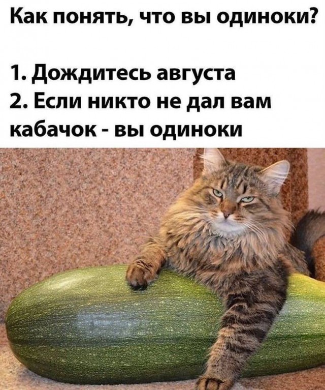 Баян наверно, но прикольный)