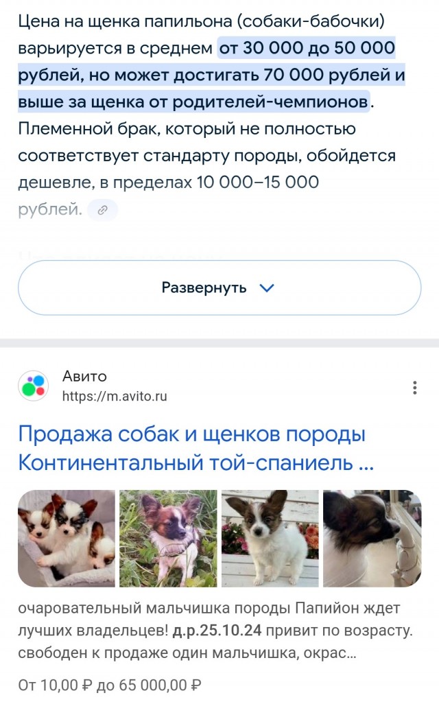 Опытного человека уволили из-за пса. Это Россия, детка!