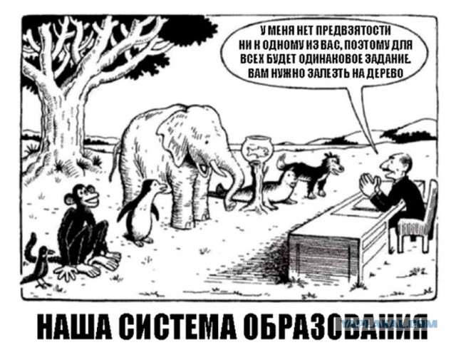 Работаю сельским учителем 15 лет. Вот 7 причин, почему российское образование катится в пропасть. Честно о своем опыте