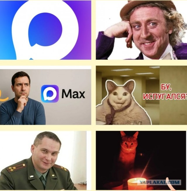 Использование мессенджера Max является полностью добровольным