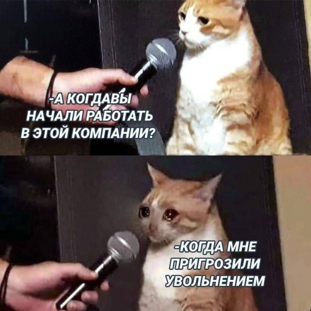 Деградация