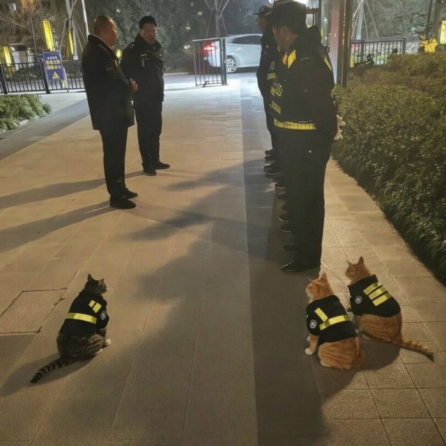 На разводе