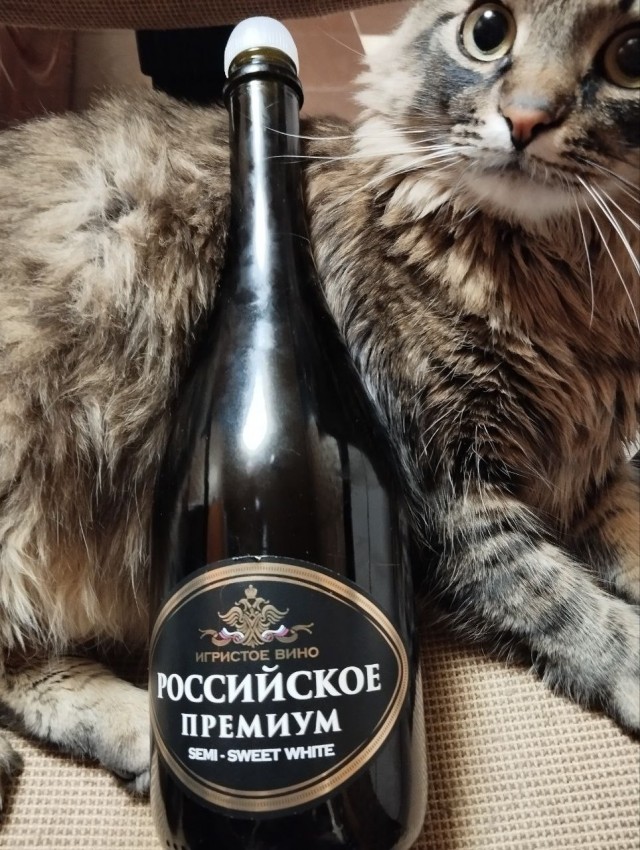 А котовторник уже пришёл?