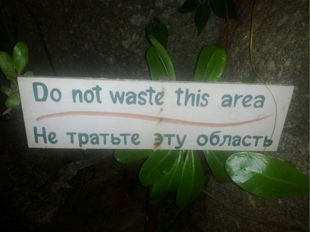 Картинки среды