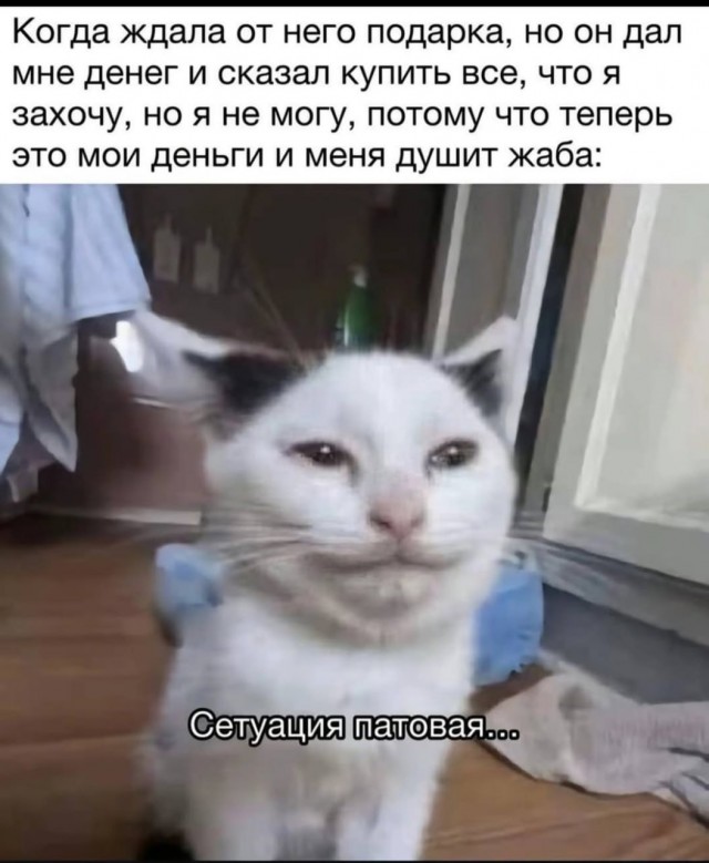 Картинки для деградации 159 (разной степени свежести)