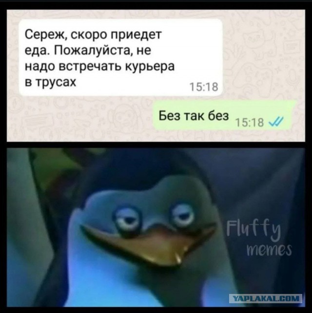 Веселые картинки в пятницу (20.03)