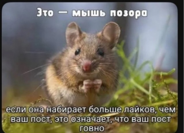 Годный индикатор