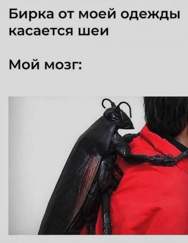 Картиночки, баянчики 08 июля