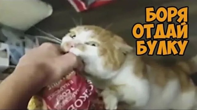 Добыча