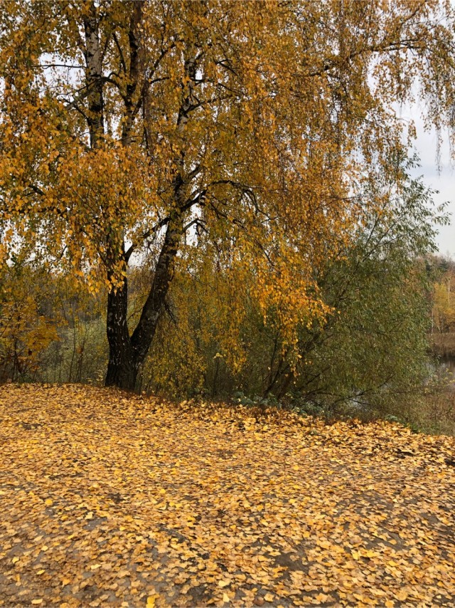 Маяковский на Акуловой горе