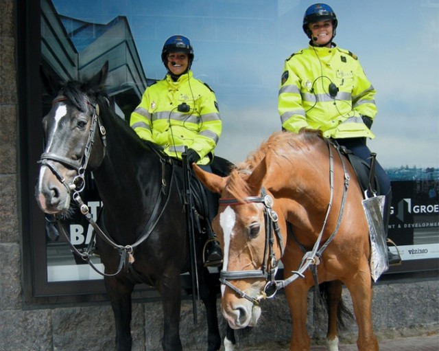 Полиция в разных странах