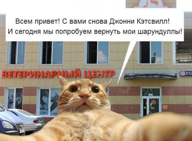 Комментарии и картинки из соц. сетей