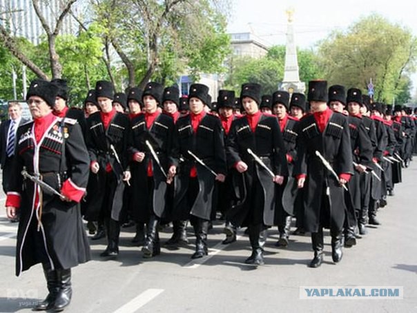 К армии Донбасса присоединятся
