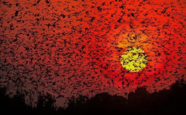 25 фотографий, доказывающих, что человек