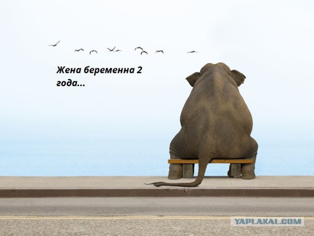 Что Вам нужно, женщины?