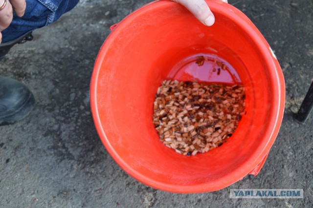 Копченые свиные ребрышки барбекю.