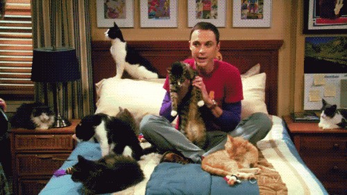За кадром THE BIG BANG THEORY