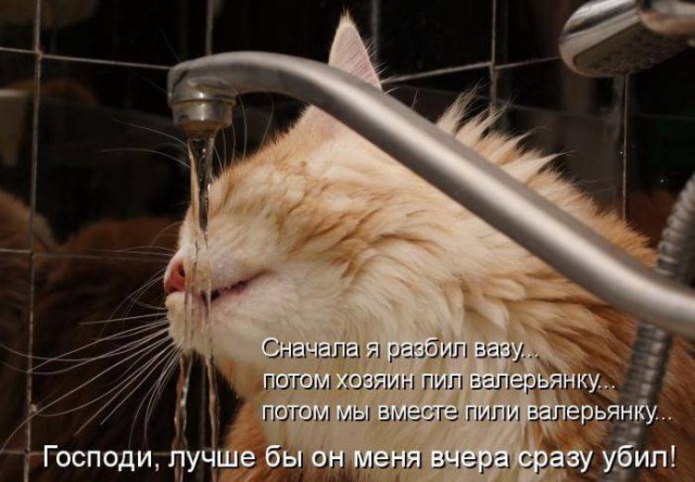 Картинки с буквами -11