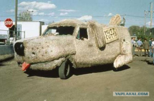 Комары по трассе Хабаровск Комсомольск