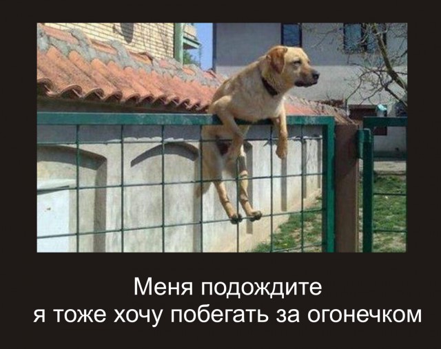Когда ночью не спится