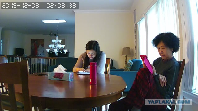 За что я люблю китайцев