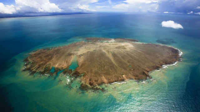 Подборка картинок