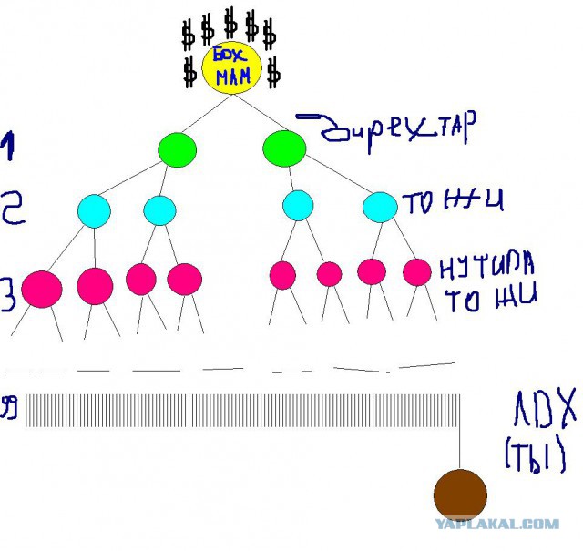 Я очень люблю MLM'щиков.