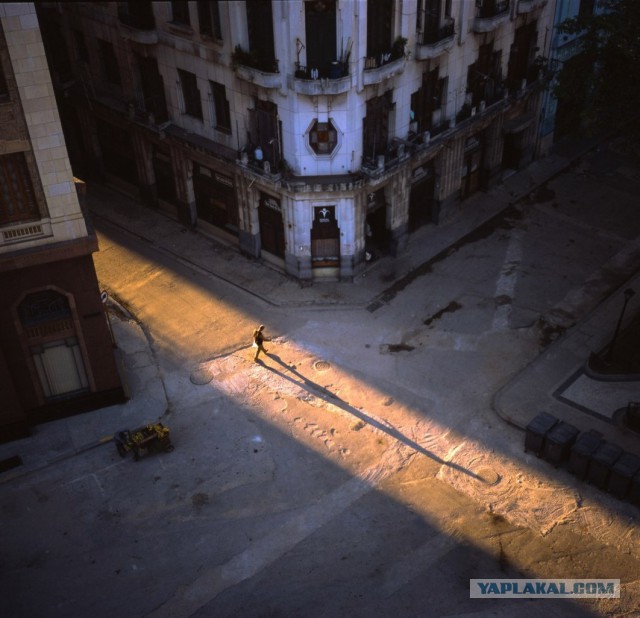 Подборка смешных, не очень и просто красивых фотографий. Часть 2