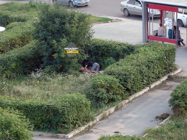 Секс в публичном месте