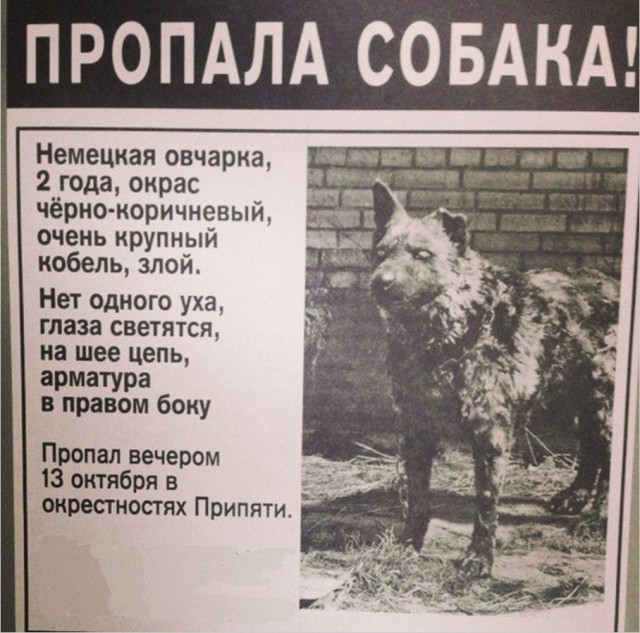 Высказывания и мысли в картинках