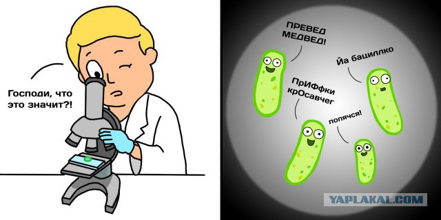 20 лет спустя