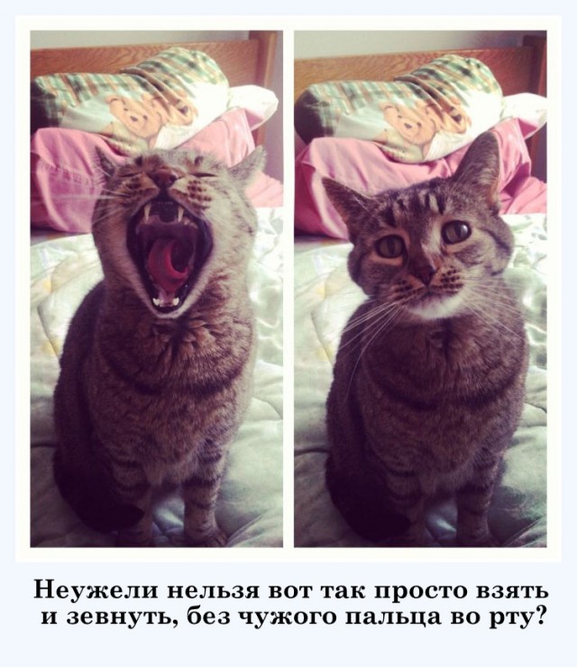 Картинок разных