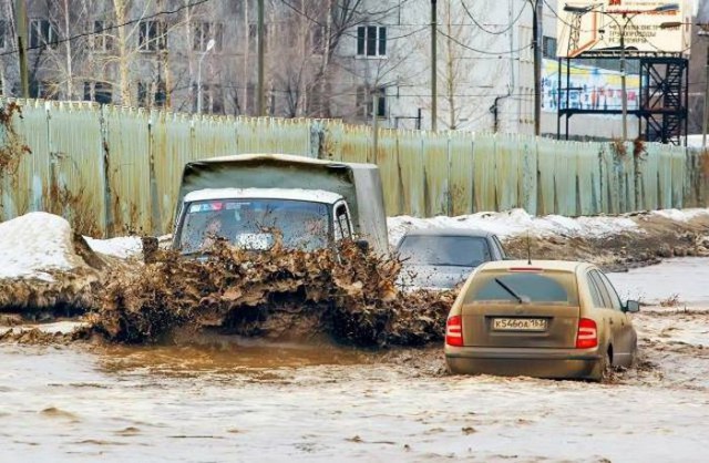Подборка безудержного веселья