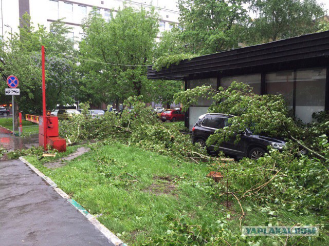 В Москве ураган!